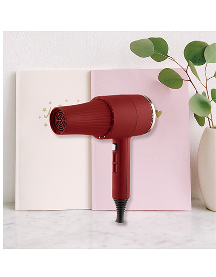 Hair Dryer TD-3600